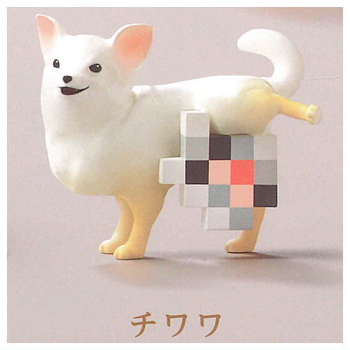 Mosainu [2.Chihuahua]