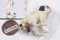 Mosainu [3.Pug]