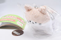 Yurufuwaneko tenohira stuffed toy [3.Beige Hachiware B]