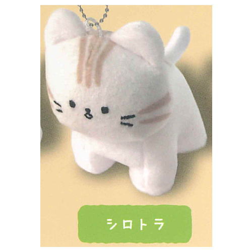 Yurufuwaneko tenohira stuffed toy [4.Shirotora]