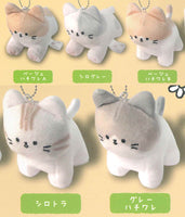 Yurufuwaneko tenohira stuffed toy [All 5 type set(Full Complete)]