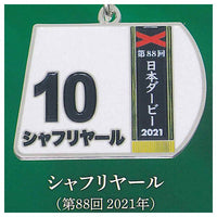Super Thoroughbred Series Bib Metal Keychain vol.3 [5.Shahryar (88th 2021)]