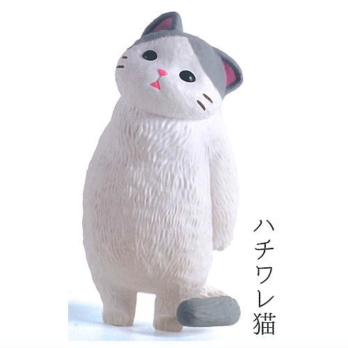 Kyomu. Cat Part.3 [1.Hachiware cat]