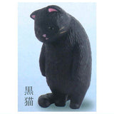 Kyomu. Cat Part.3 [2.Black cat]