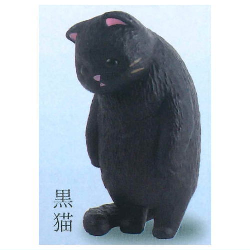 Kyomu. Cat Part.3 [2.Black cat]