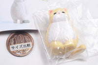 Kyomu. Cat Part.3 [3.Cream cat]