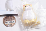 Kyomu. Cat Part.3 [3.Cream cat]