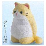 Kyomu. Cat Part.3 [3.Cream cat]