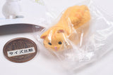 Kyomu. Cat Part.3 [5.Chatora cat]