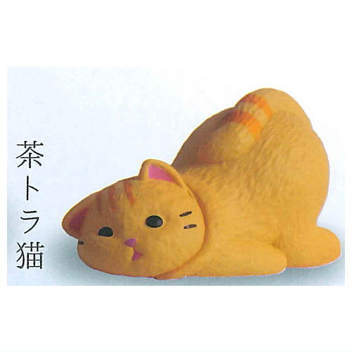 Kyomu. Cat Part.3 [5.Chatora cat]