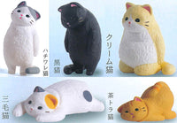 Kyomu. Cat Part.3 [All 5 type set(Full Complete)]