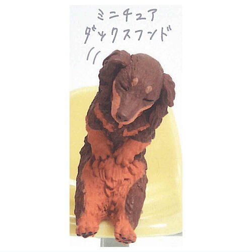 Isshoni nenne Wanko [2.Miniature Dachshund]