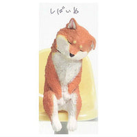 Isshoni nenne Wanko [4.Shiba Inu]
