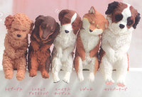 Isshoni nenne Wanko [All 5 type set(Full Complete)]