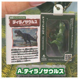 Miniature Encyclopedia Mascot Dinosaur II [1.Tyrannosaurus]