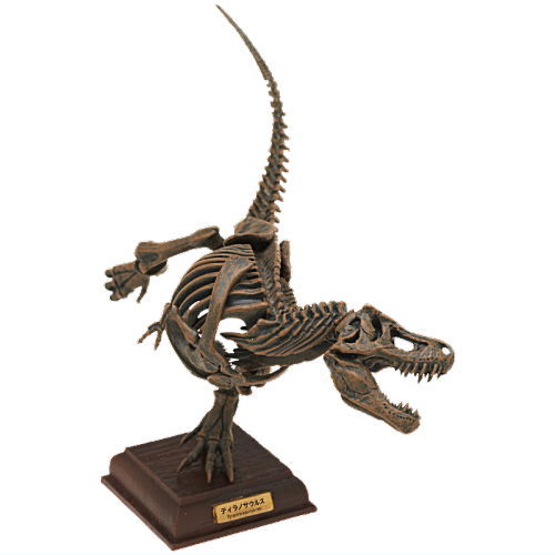 Nature Techni colour Paleontology [1.Tyrannosaurus dark brown fossil color]