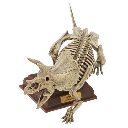 Nature Techni colour Paleontology [2.Triceratops ochre fossil color]