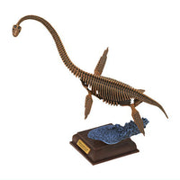 Nature Techni colour Paleontology [3.Futabasuzukiryu red brown fossil color]