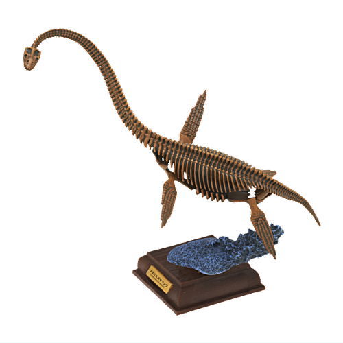 Nature Techni colour Paleontology [3.Futabasuzukiryu red brown fossil color]