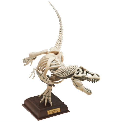 Nature Techni colour Paleontology [4.Tyrannosaurus skeletal specimen color]