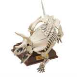Nature Techni colour Paleontology [5.Triceratops skeletal specimen color]