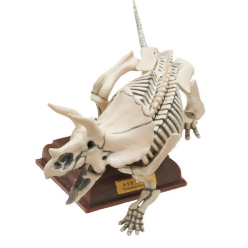 Nature Techni colour Paleontology [5.Triceratops skeletal specimen color]