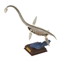 Nature Techni colour Paleontology [6.Futabasuzukiryu skeletal specimen color]