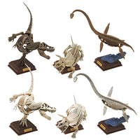 Nature Techni colour Paleontology [All 6 type set(Full Complete)]