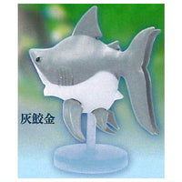 Samekingyo [1.Grey shark gold]