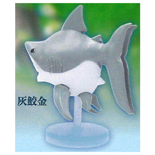Samekingyo [1.Grey shark gold]