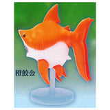 Samekingyo [2.Orange shark gold]