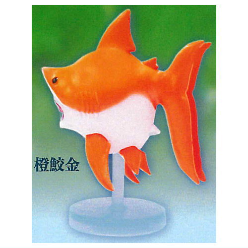 Samekingyo [2.Orange shark gold]