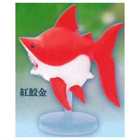 Samekingyo [3.Red shark gold]