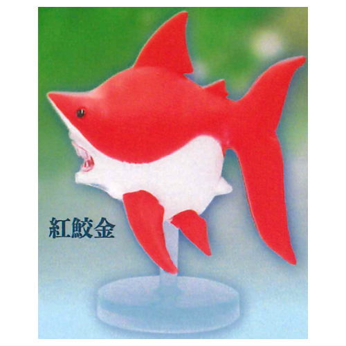 Samekingyo [3.Red shark gold]