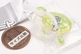 Float Mejirushi Charm [2.Turtle]