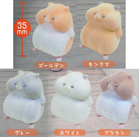 Darekatasukete Kadokko Hamster [All 5 type set(Full Complete)]