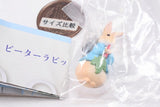 Peter Rabbit Mejirushi Accessory [2.Design B]