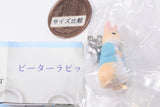 Peter Rabbit Mejirushi Accessory [3.Design C]
