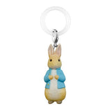Peter Rabbit Mejirushi Accessory [3.Design C]