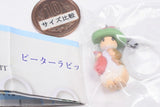 Peter Rabbit Mejirushi Accessory [5.Design E]
