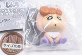 Crayon Shin-chan Buriburizaemon gaippai Flocky Doll [6.Himawari (Buriburizaemon no kigurumi)]