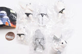 KOIMAN EPISODE 2 Monotone [All 6 type set(Full Complete)]