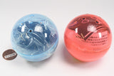 Miniature Ring Light [All 2 type set(Full Complete)]