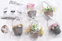 Carnivorous Plant Potted Miniature Collection [All 5 type set(Full Complete)]