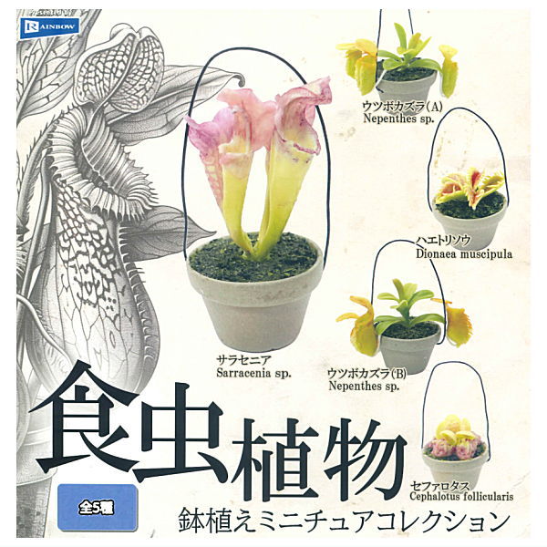 Carnivorous Plant Potted Miniature Collection [All 5 type set(Full Complete)]