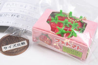 Vegetable Fairy N.Y.SALAD Boxed Vegetable Mascot [5.Cherry Tomato]