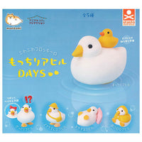 Animal Attraction Motchiri Duck Days [All 5 type set (Full Complete)]