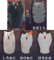 Nyakebi [All 5 type set(Full Complete)]