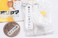 Kooriyama Mini Figure Keychain [4.Yasetai VS Tabetai]