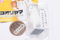 Kooriyama Mini Figure Keychain [5.Nanimoshitenainonifutorundesu]